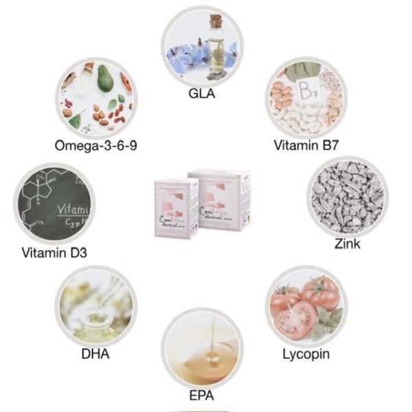 CaniMove dermal Maxi für Hunde 100 Natur Kapseln gegen Juckreiz und Fellausfall aus Deutschland