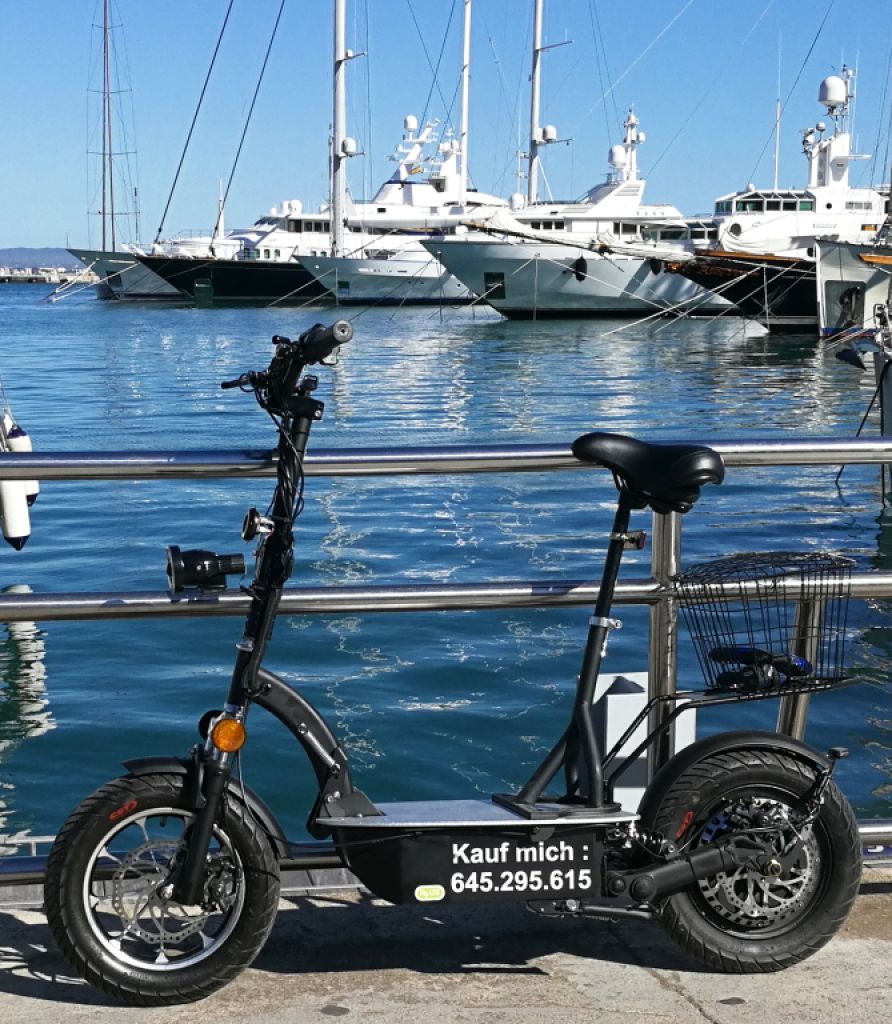 E-scooter "Revoluzzer 2.0 plus" with lithium battery