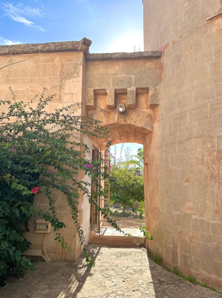 Unique business premises in the east of the island