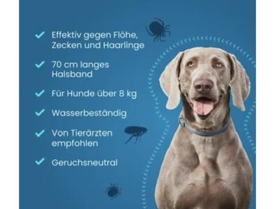 Für große Hunde Seresto Halsband 70 cm gegen Leishmaniose, Flöhe und Zecken, orginalverpackt