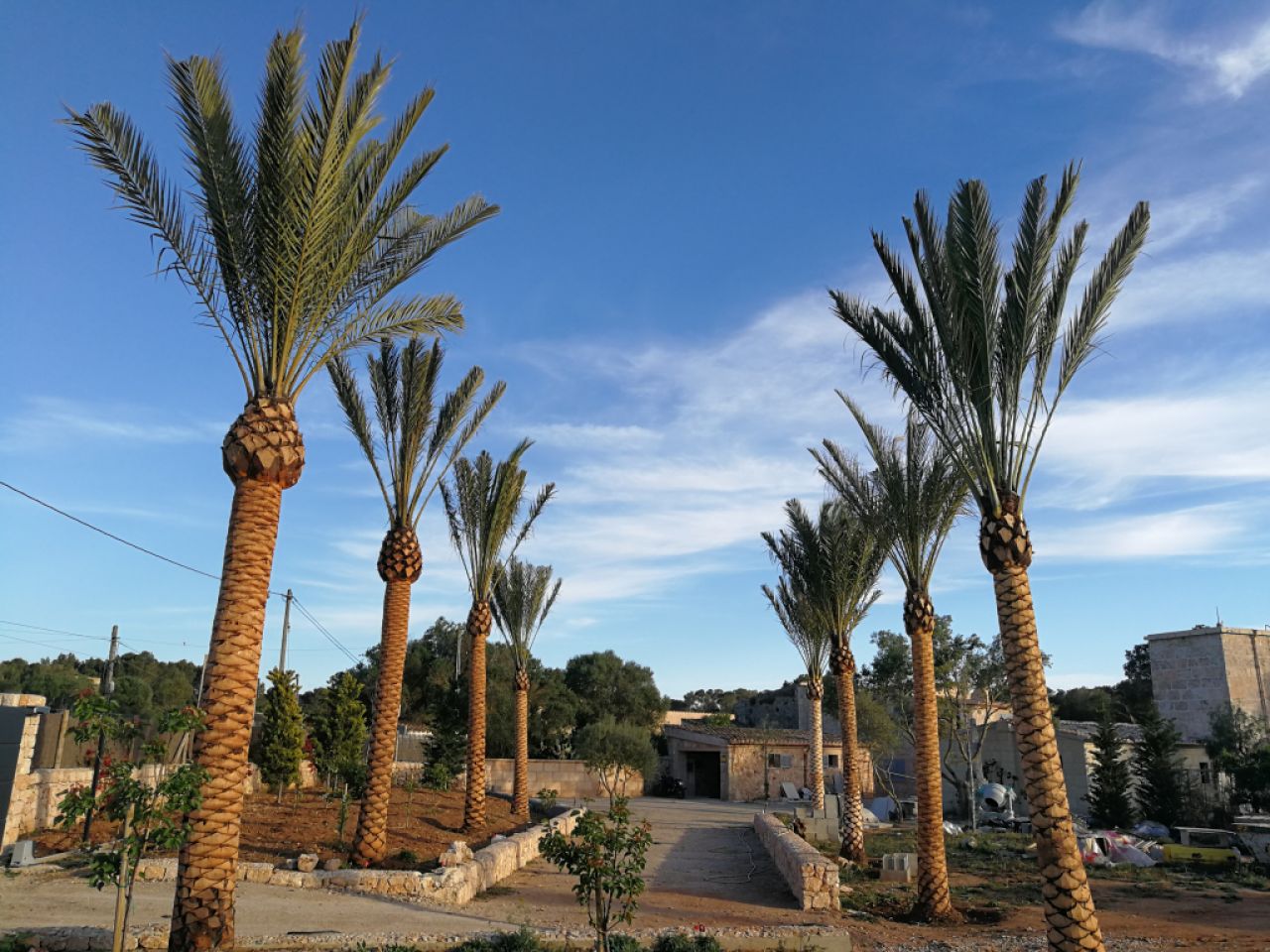 Gärtner Baumschneider