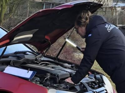 Gebrauchtwagen-Check, Gebrauchtwagen-Service