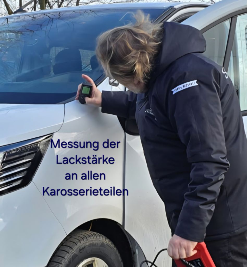 Gebrauchtwagen-Check, Gebrauchtwagen-Service