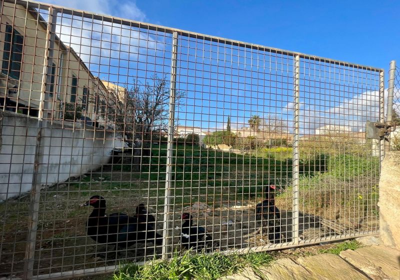 Large urban plot in Cas Concos --- S 03