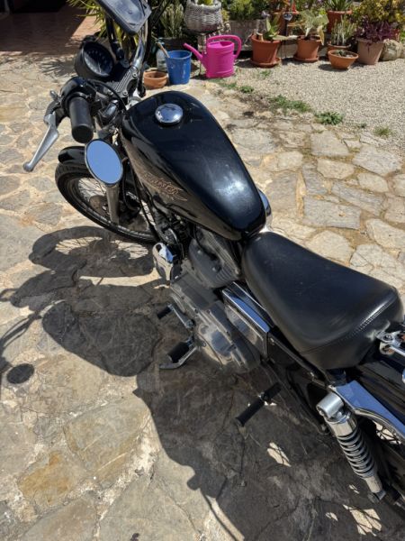 Harley Davidson XL 883 Sportster