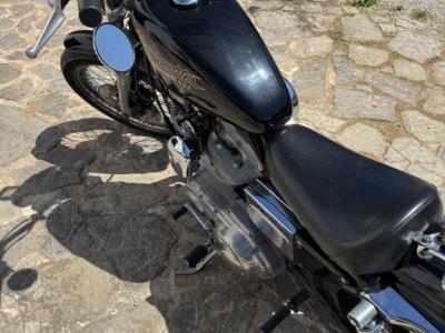 Harley Davidson XL 883 Sportster