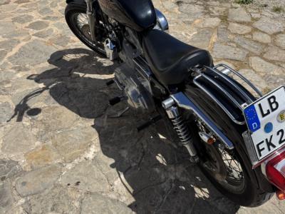 Harley Davidson XL 883 Sportster