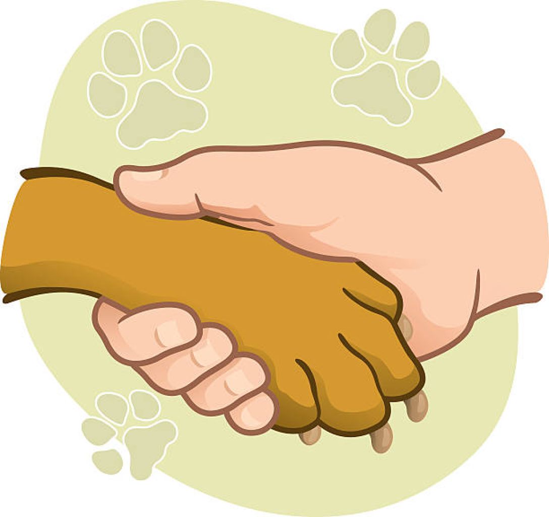 Hundebetreuung über die Feiertage