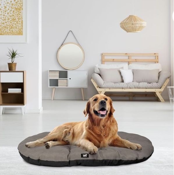 Hundebett, Hundematratze für große Hunde, neuwertig, waschbar, 100x63 cm, aus Italien