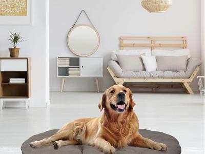 Hundebett, Hundematratze für große Hunde, neuwertig, waschbar, 100x63 cm, aus Italien