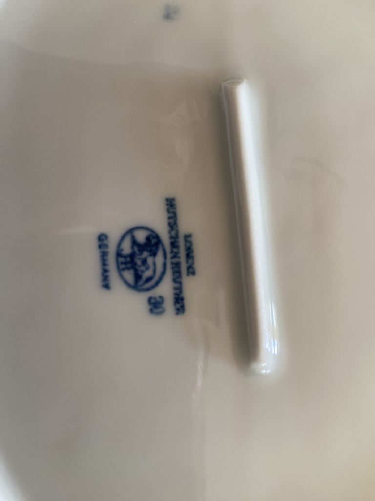 Hutschenreuther Essgeschirr Zwiebelmuster