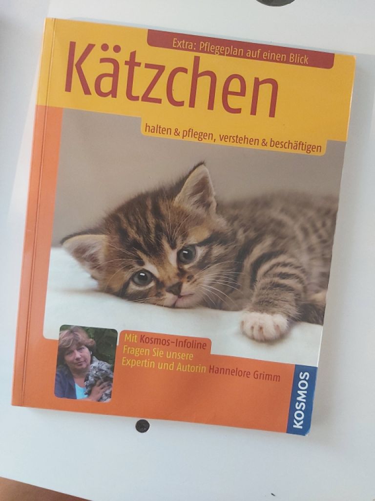 Kätzchen: Halten & Pflegen, Verstehen & Beschäftigen
