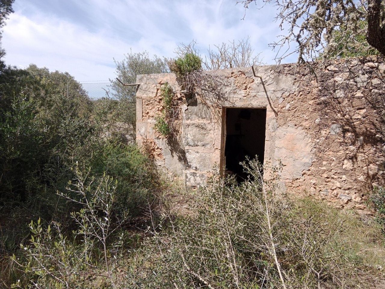 Ländliches Grundstück in der Nähe von Campos