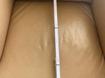 Ledersessel W.Schillig