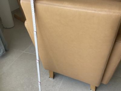 Ledersessel W.Schillig