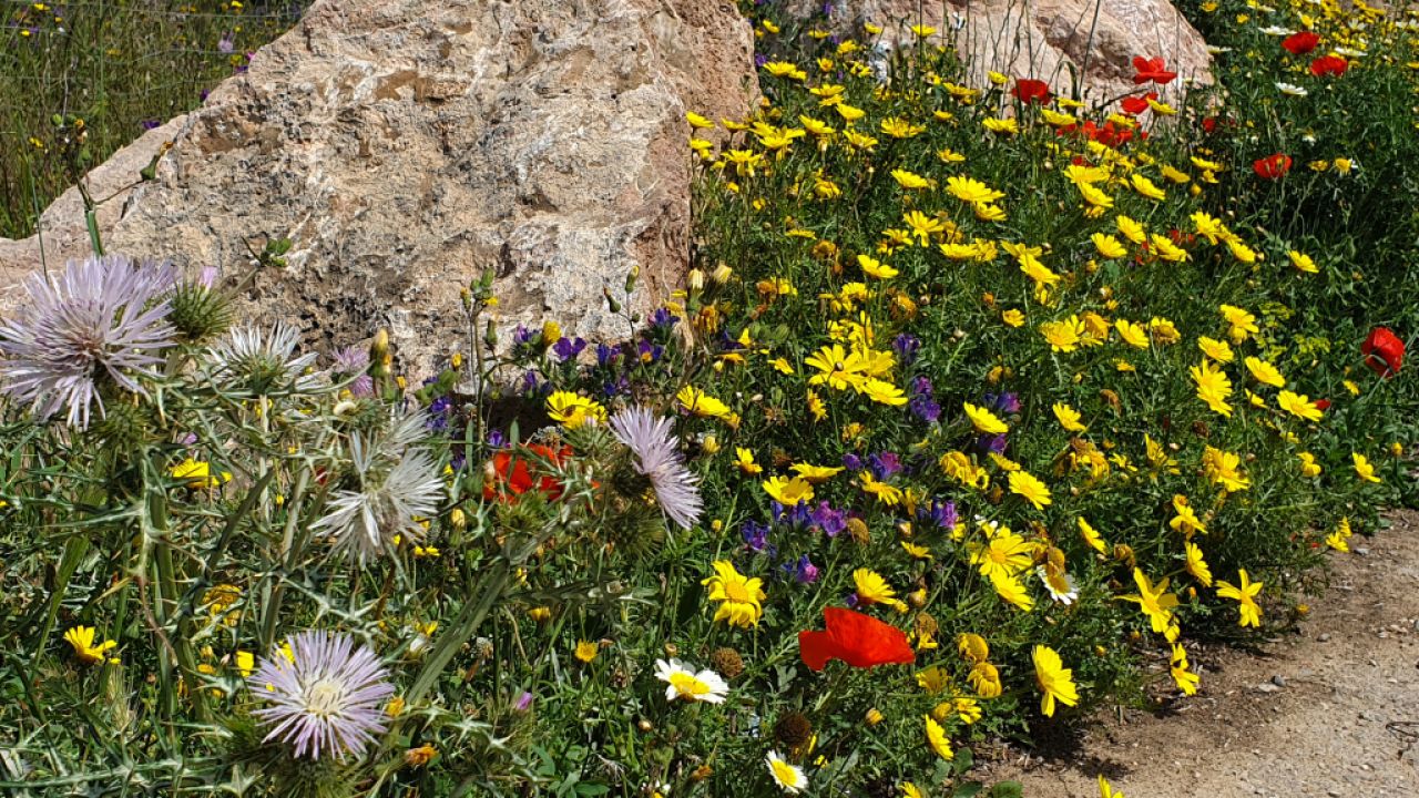 Conejo de Pascua de la costa este no quiere saltar solo esta primavera...