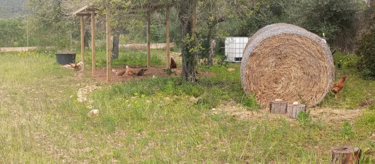 Permakultur und ökologische Hobbygärtner