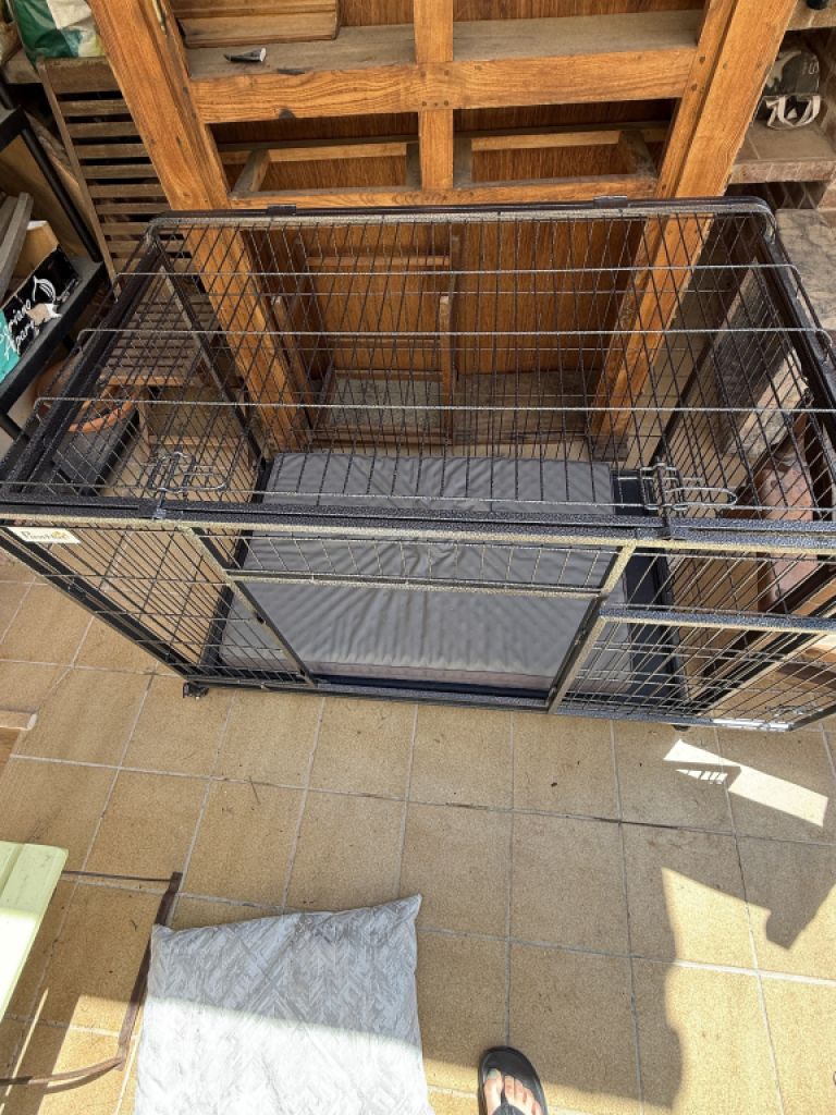 Prima Welpen Box von Pawhut