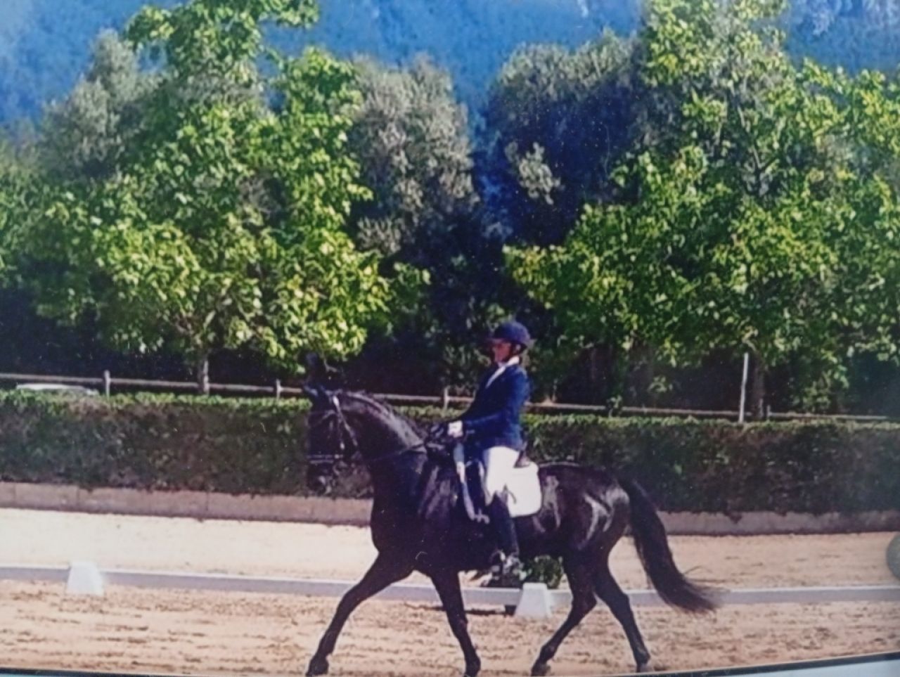 Privatunterricht bis Kl.S