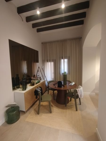 Professioneller Maler sucht Aufträge auf Mallorca (Palma & Umgebung)