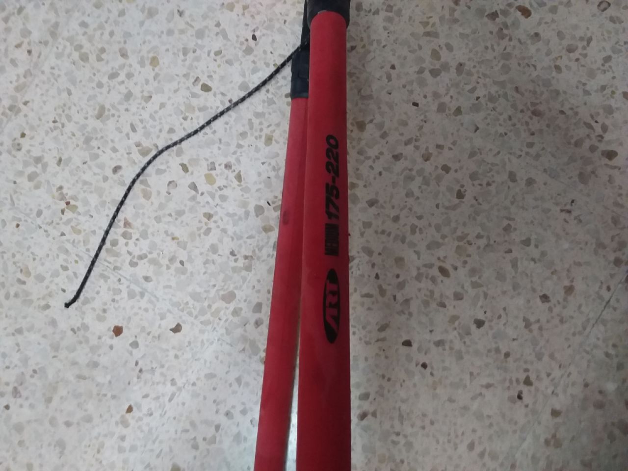 Surfgabelbaum zu verkaufen