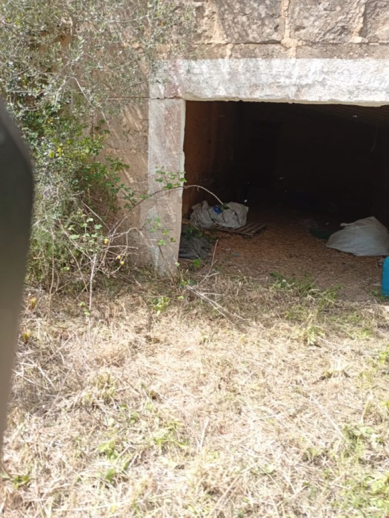 Top Gelegenheit Sant Lorenzo Grosse Finca zu Verkaufen 394.700m2 Grundstück