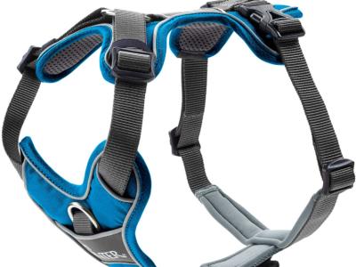 Various Dog Clothing and Accessories