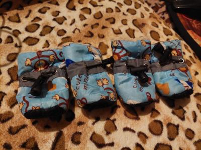 Various Dog Clothing and Accessories