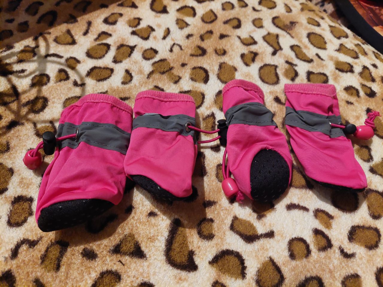 Various Dog Clothing and Accessories