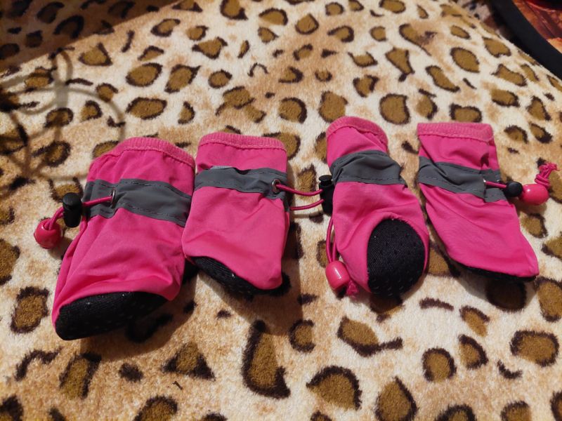 Various Dog Clothing and Accessories