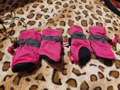 Various Dog Clothing and Accessories