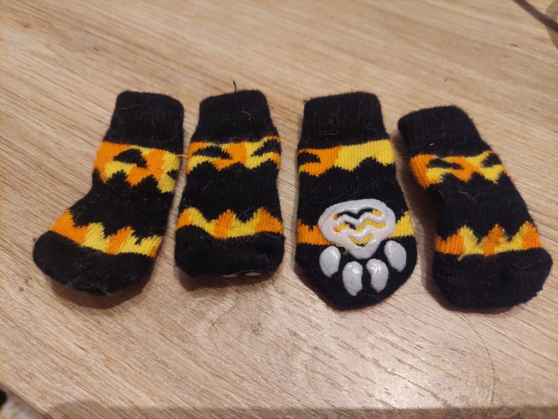 Various Dog Clothing and Accessories