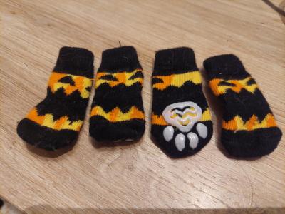 Various Dog Clothing and Accessories