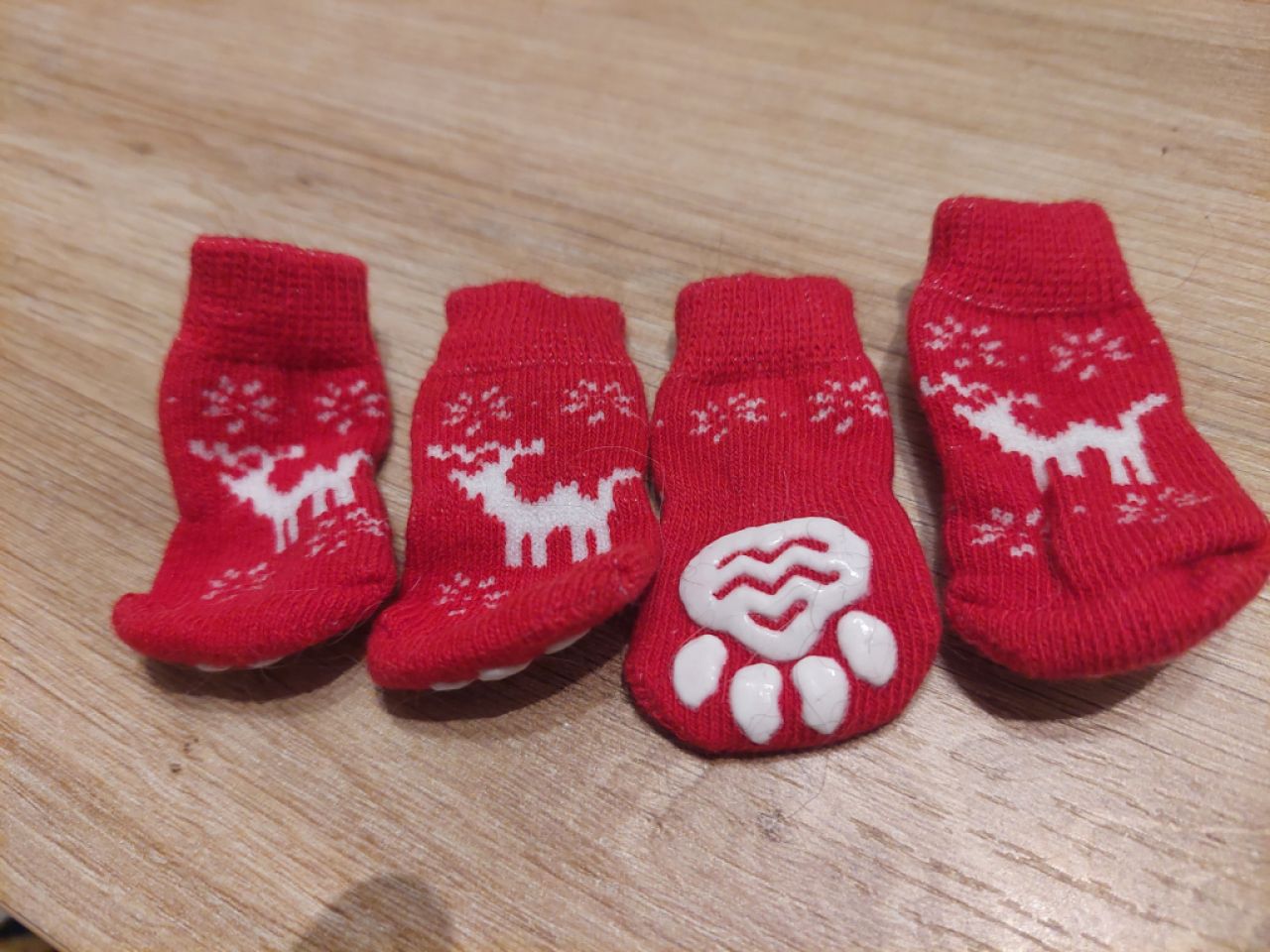 Various Dog Clothing and Accessories