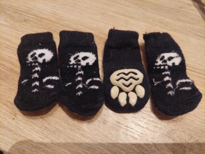 Various Dog Clothing and Accessories