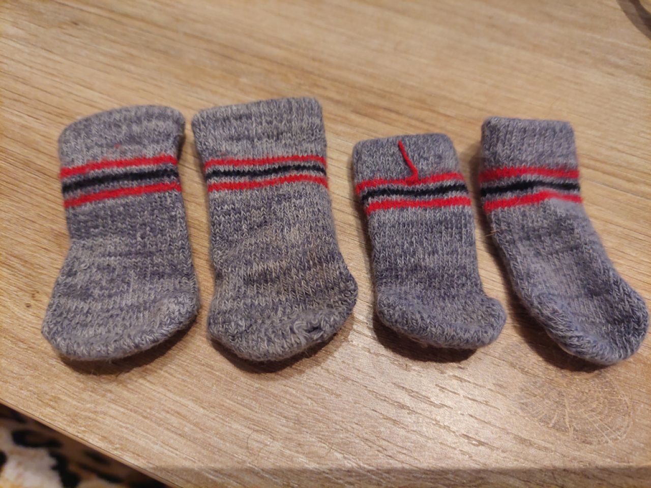 Various Dog Clothing and Accessories