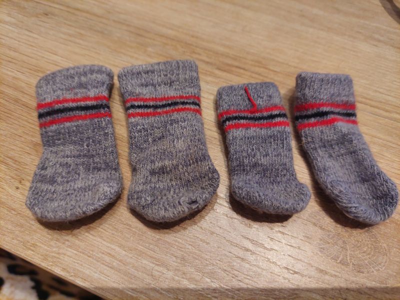 Various Dog Clothing and Accessories