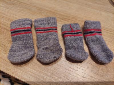 Various Dog Clothing and Accessories