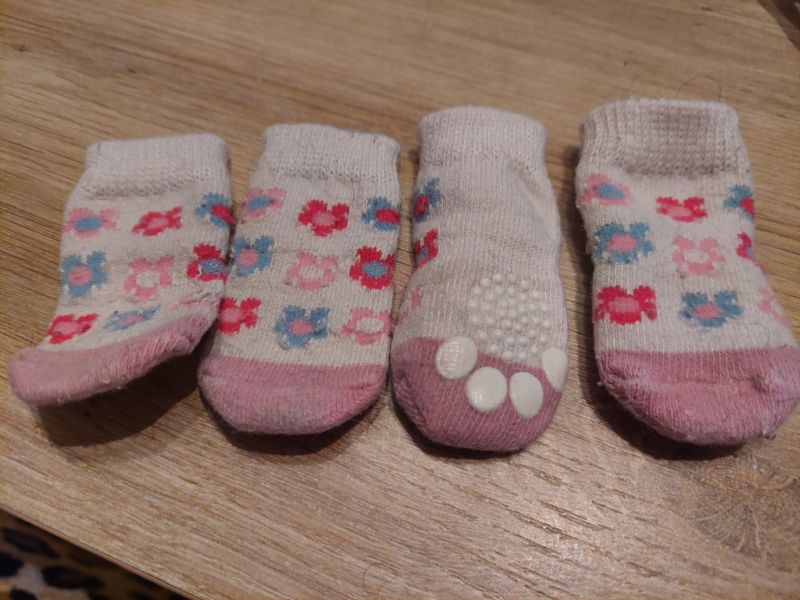 Various Dog Clothing and Accessories