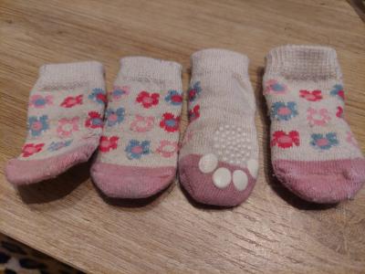 Various Dog Clothing and Accessories