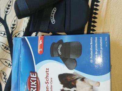 Various Dog Clothing and Accessories