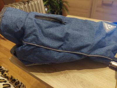 Various Dog Clothing and Accessories