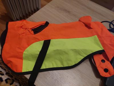 Various Dog Clothing and Accessories