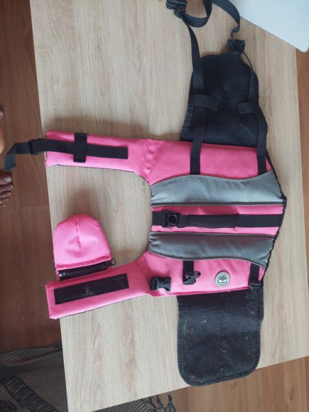 Various Dog Clothing and Accessories