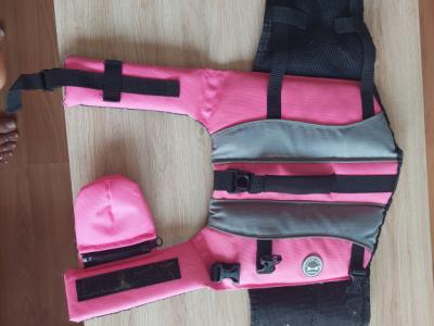 Various Dog Clothing and Accessories