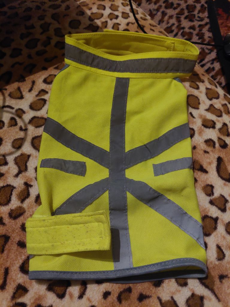 Various Dog Clothing and Accessories