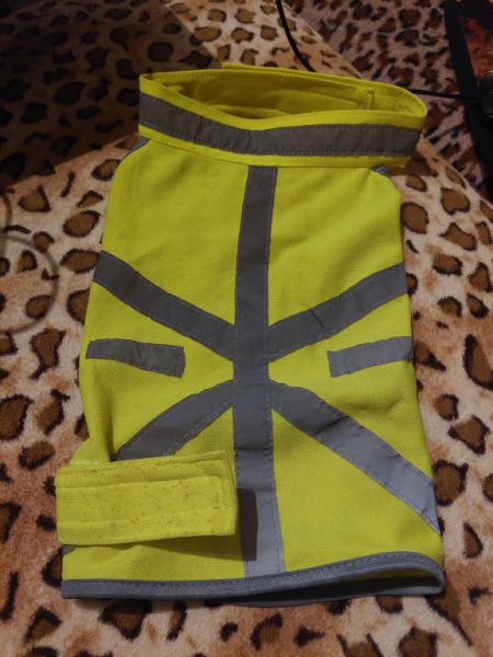 Various Dog Clothing and Accessories