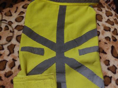 Various Dog Clothing and Accessories