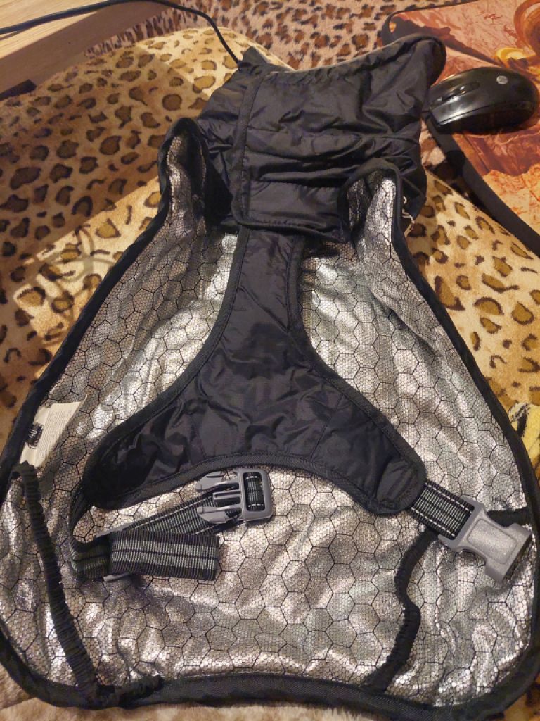 Various Dog Clothing and Accessories