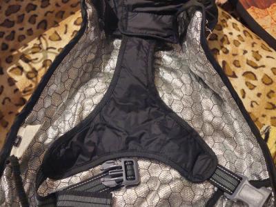 Various Dog Clothing and Accessories